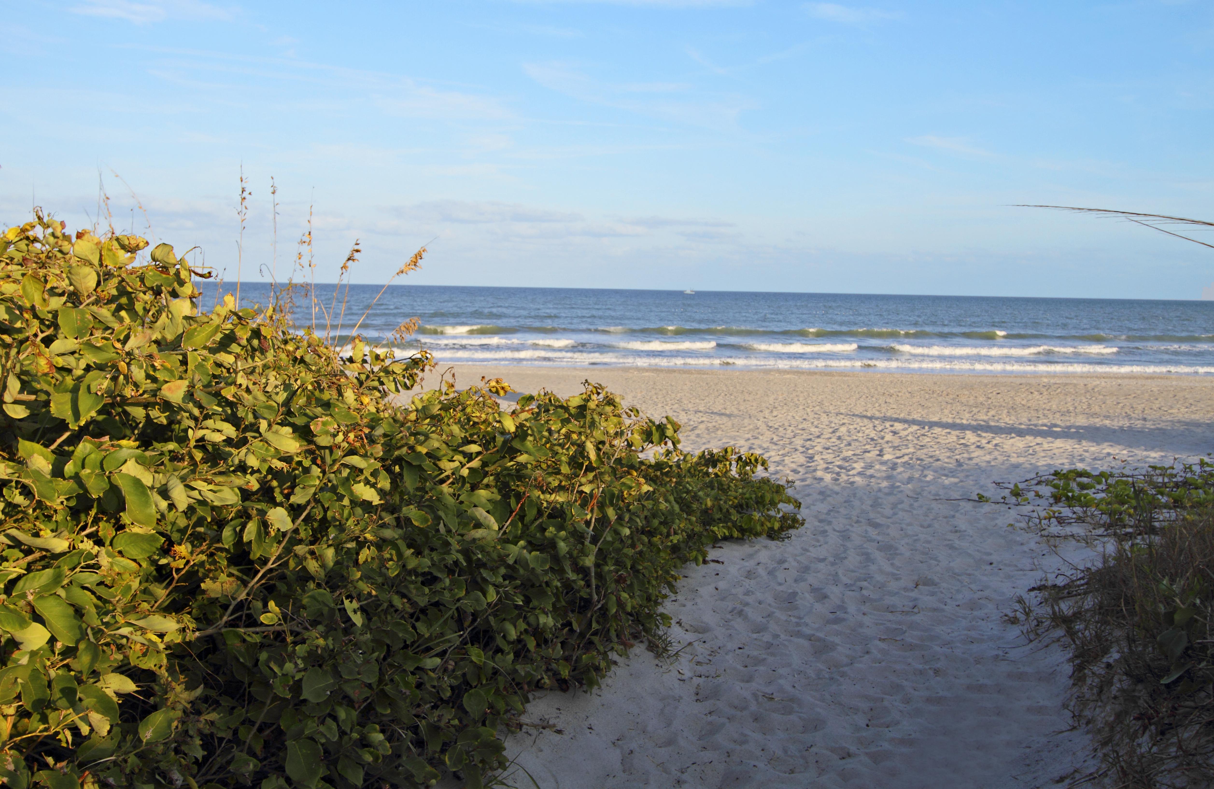 Courtyard By Marriott Cocoa Beach Cape Canaveral Ngoại thất bức ảnh